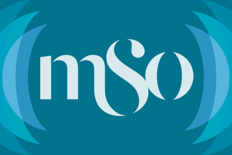 2025 mso rebrand blog header 1200x800