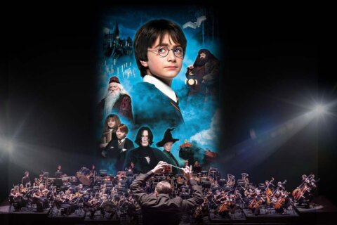 2025 harry potter philosophers stone 1200x800