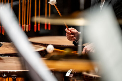 2026 also sprach zarathustra 1200x800