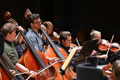 2026 melbourne youth orchestra side by side 1200x800