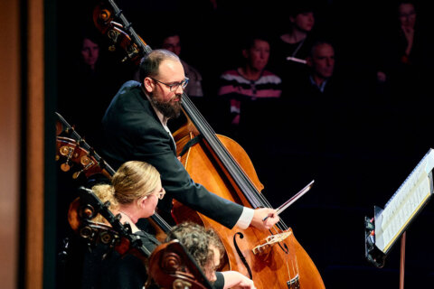 2026 metropolis sounds of cinema 1200x800