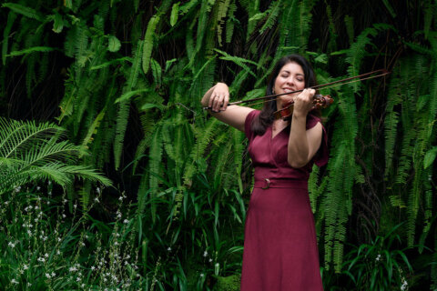 2026 strauss and mozart alt 1200x800