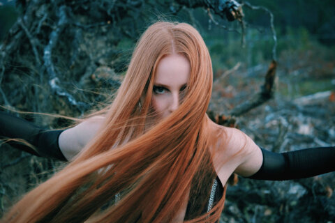 2026 vera blue 1200x800