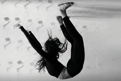 2026 stravinsky and chindamo 1200x800