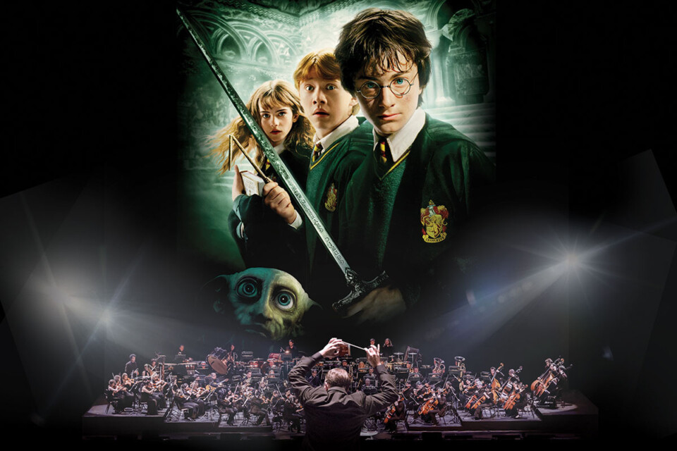 2026 harry potter chamber of secrets 1200x800