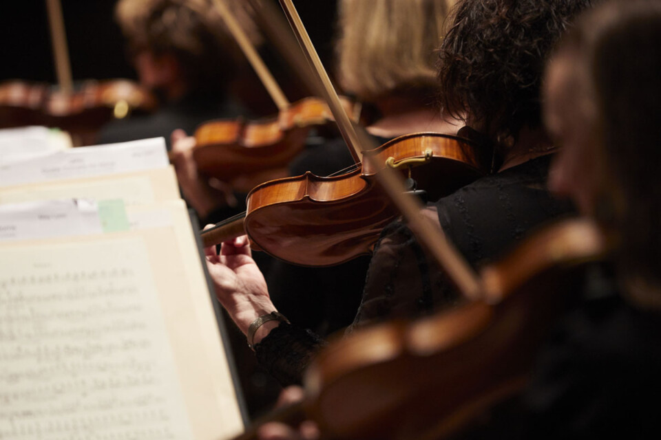2026 naidoc week celebration 1200x800