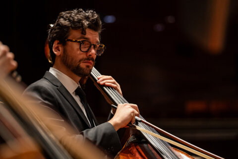2027 the double bass rota and stravinsky 1200x800