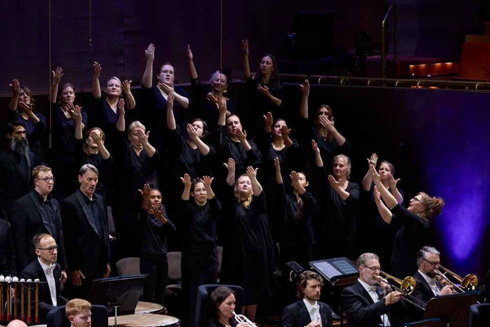 2025 diap header 1200x800