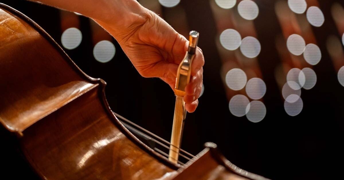 Learning Melbourne Symphony Orchestra