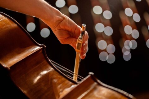 Melbourne Symphony Orchestra