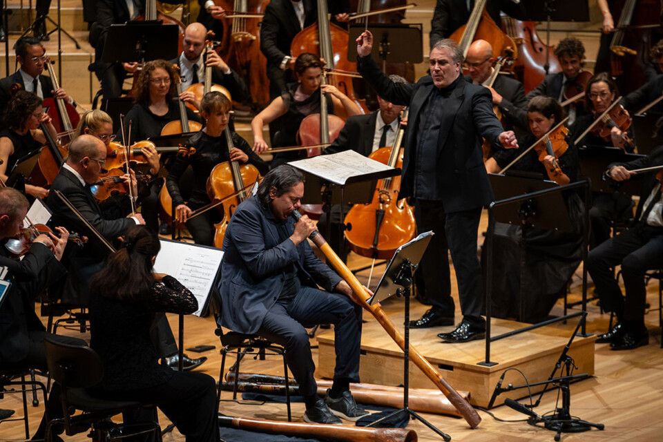 2025 europe tour hamburg 3 1200x800