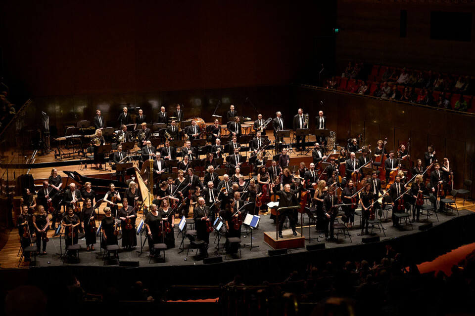 2026 meet the musicians full orchestra 1200x800