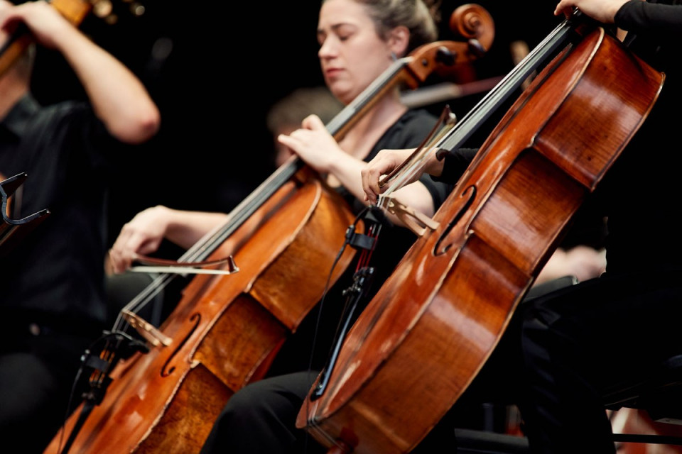 Work experience Melbourne Symphony Orchestra