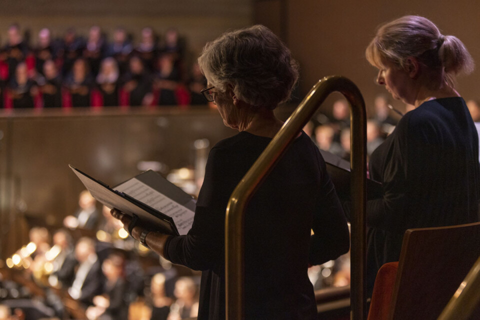 2025 chorus anniversary appeal 1200x800