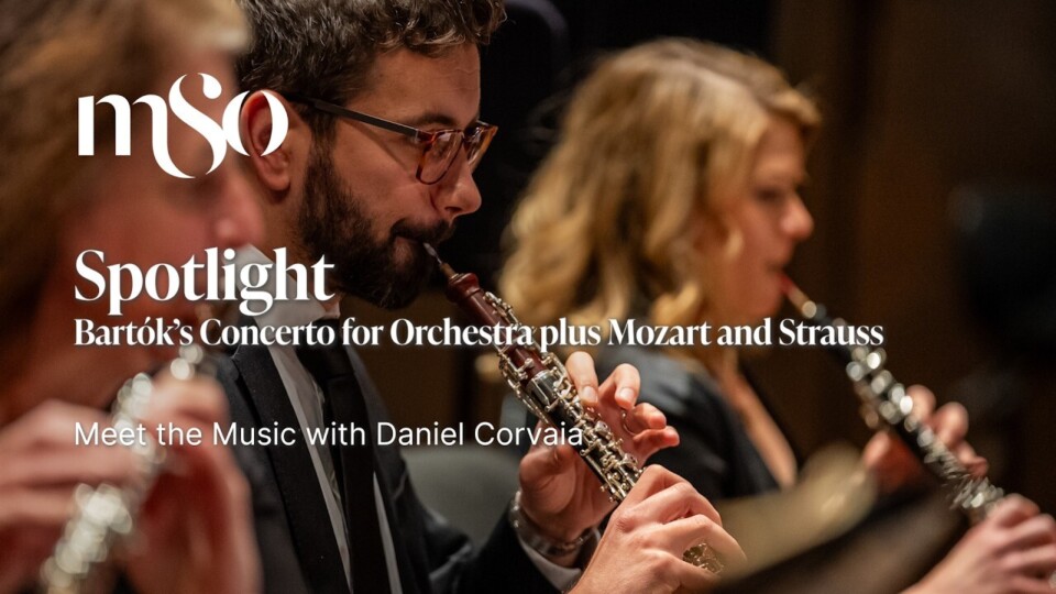2026 meet the music spotlight thumbnail